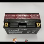 tai-yt7b-bs
