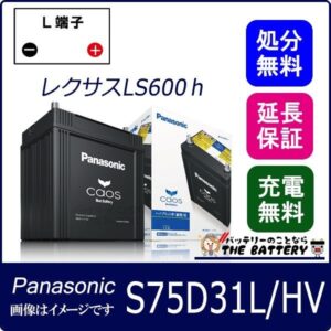 N-S75D31L-HV