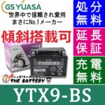 GS-YTX9-BS-zumi