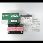 GS-YTX4L-BS